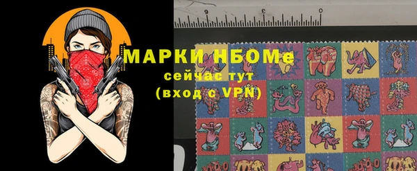 прущие грибы Алзамай