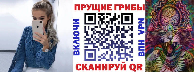 закладка Старица Псилоцибиновые грибы Cubensis