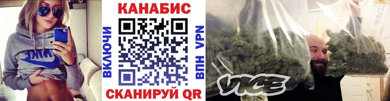 где найти   Старица  Бошки марихуана SATIVA & INDICA 
